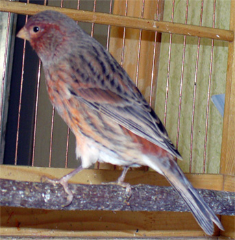 s1_001.jpg