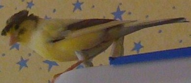 IMG_1133.JPG