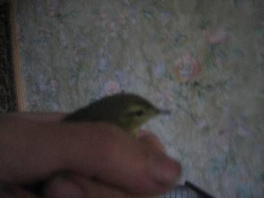 Optimized-IMG_0320.jpg