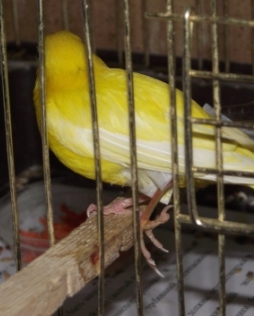 DSCF0671.jpg