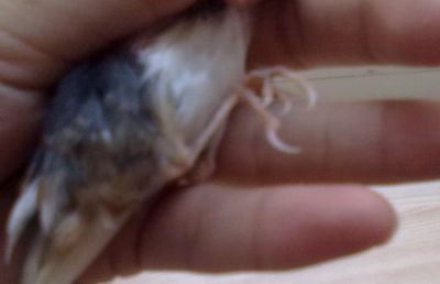 15032011147.jpg