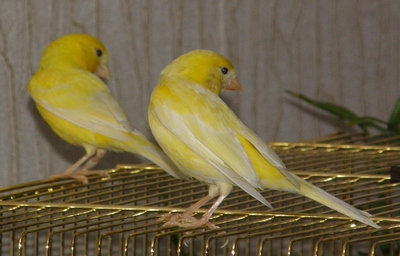P3190048_cr.jpg