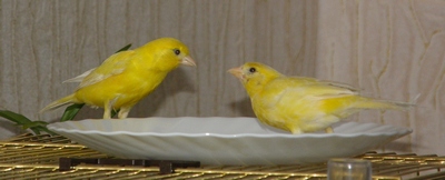 P3200097_cr.jpg