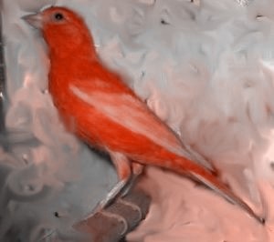 a6b3b89e55bf.jpg