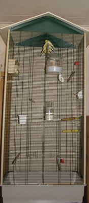 P6290009_cr.jpg