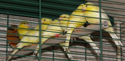 P6290007_cr.jpg
