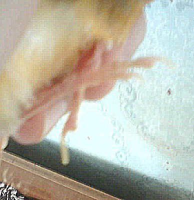IMG0143A.jpg