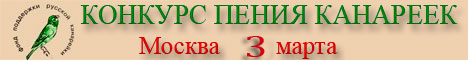 baner_712.jpg