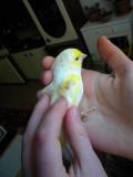 DSCN6610.JPG