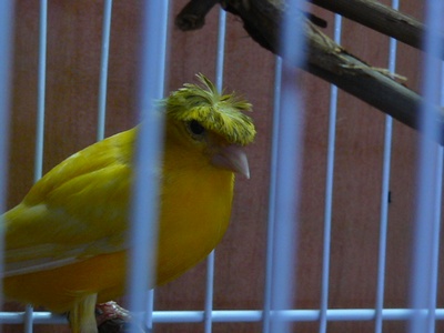 P1100265.JPG