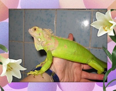 17 марта 026.jpg