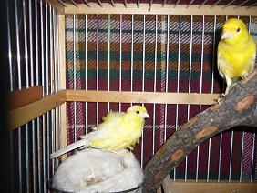 P1010201.JPG