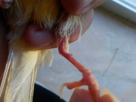 20130829_190336.jpg